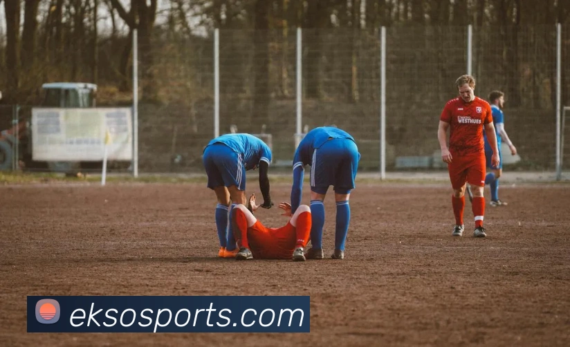 体育下注APP 封面图